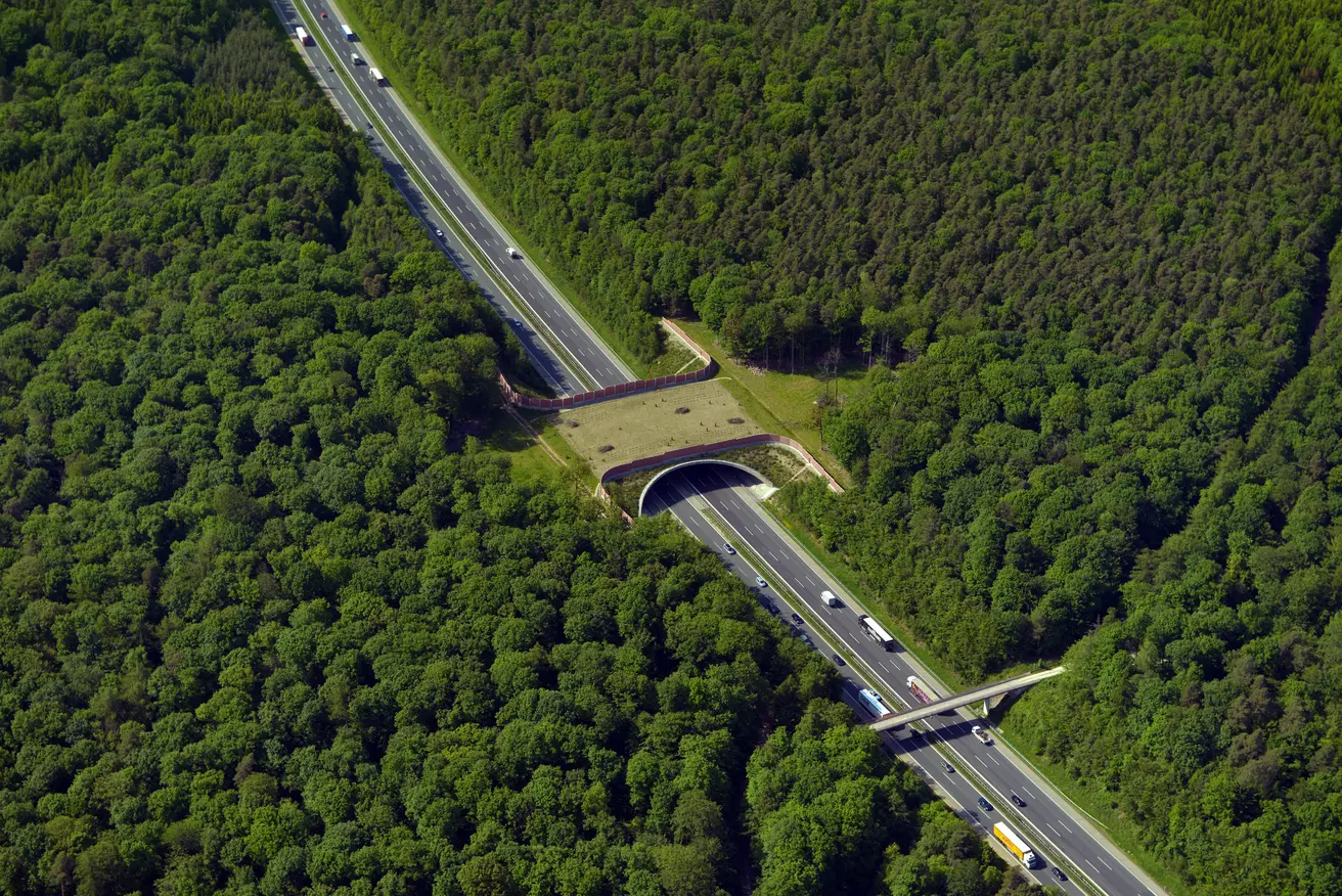 Luftaufnahme einer vergleichbaren Grünbrücke im Zuge der A7 (Foto: Hajo Dietz - Nürnberg Luftbild)
